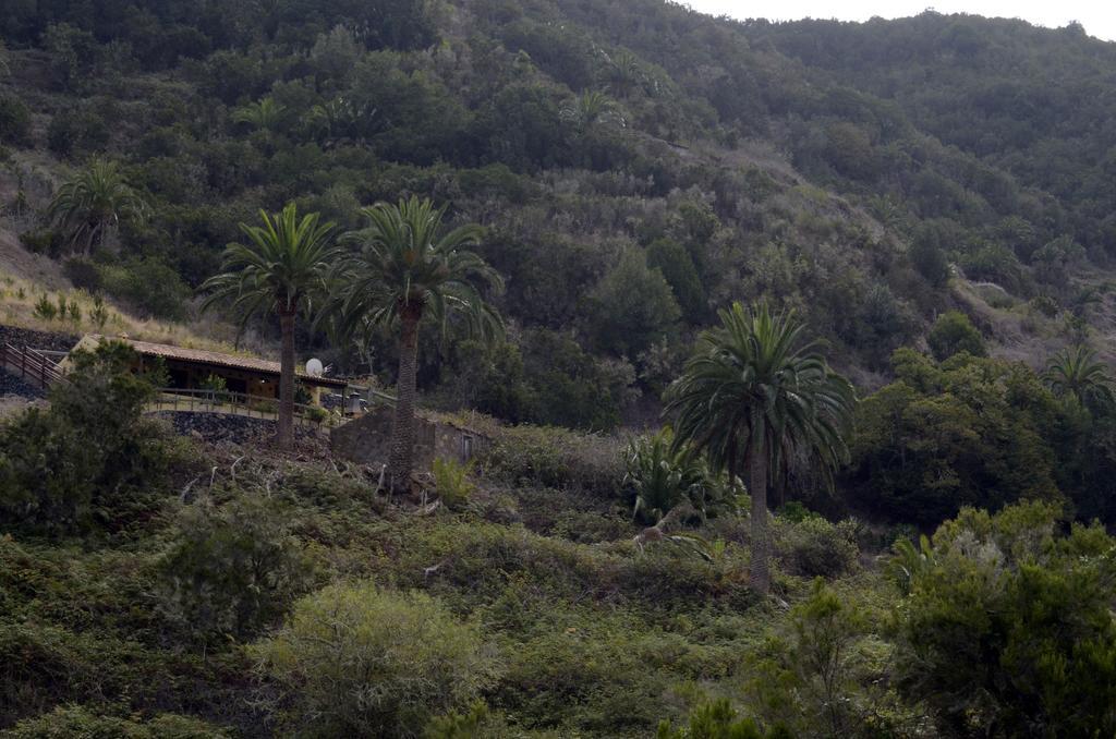 Casa Rural El Rincon De Antonia Agulo Exterior photo
